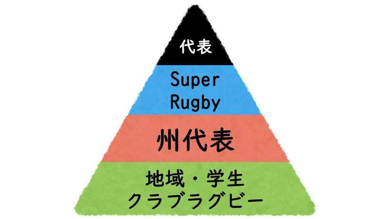 ニュージーランドラグビーの階層と位置付け